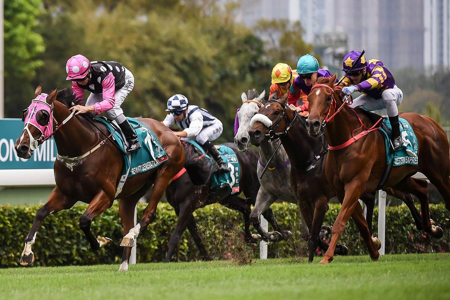 Singapore Horse Racing Live Odds